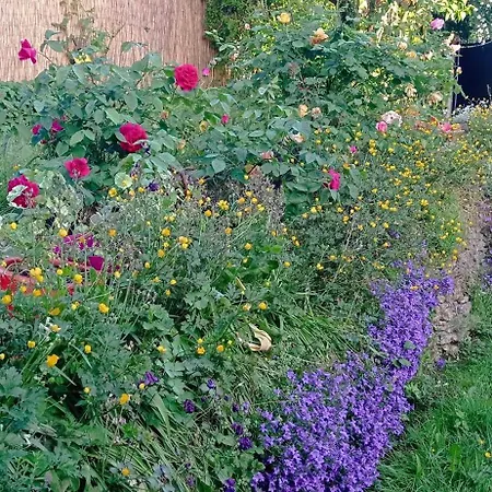 Chez Alex' 3* Dozulé